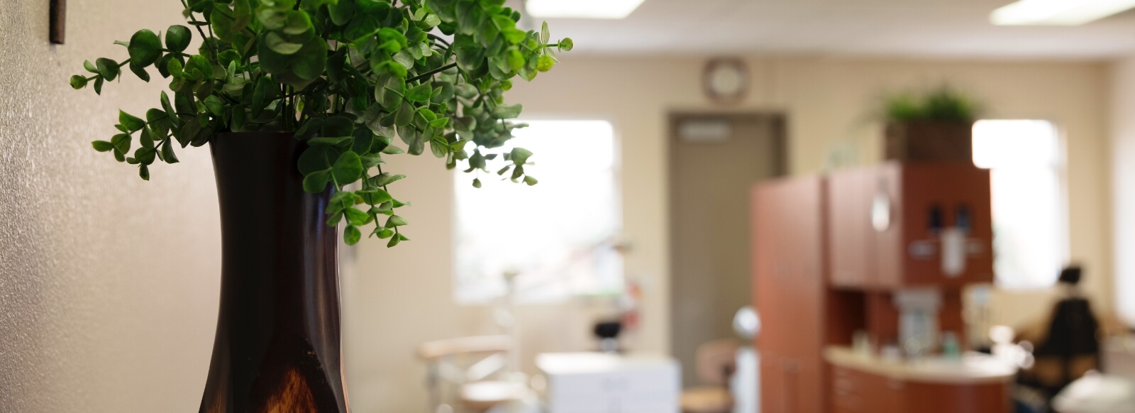 Green fern in vase in dental treatment room